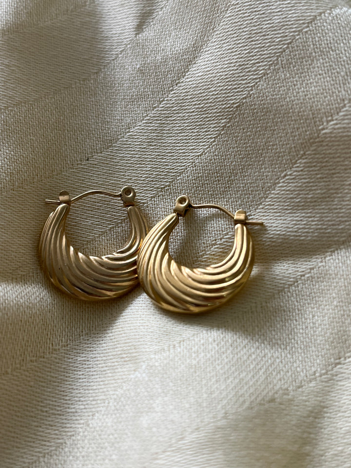 Çelik Gold Midye Küpe